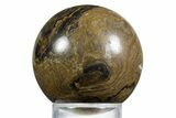Polished Stromatolite (Greysonia) Sphere - Bolivia #355366-1